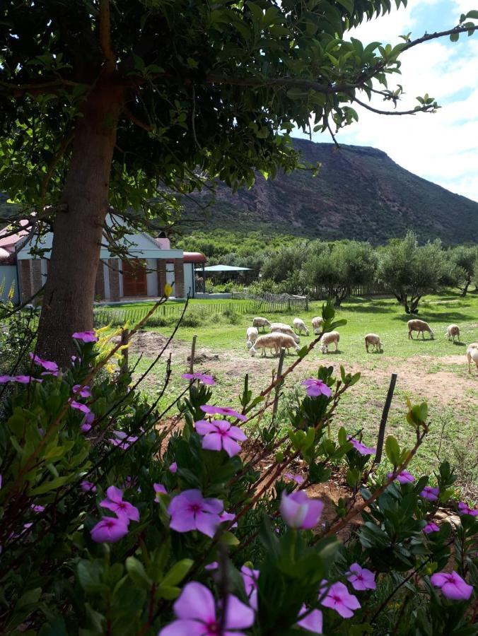 Baviaanskloof Landhuis Studtis Екстериор снимка